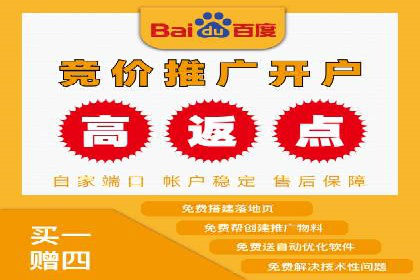 SEM推广竞价策略案例分析